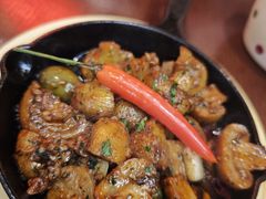 -伽喱博士 Dr.CURRY咖喱饭(太阳宫咖喱店)