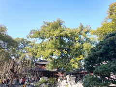 -豫园