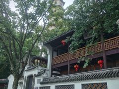 -江心屿景区