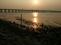 -宝安西湾红树林湿地公园