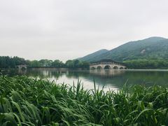 -长广溪湿地公园