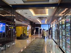 -UME影城(安贞DTS:X店)