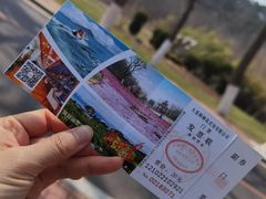 -棒棰岛宾馆景区