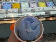 -iceason爱茜茜里·意大利健康冰淇淋(骑龙巷店)
