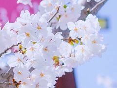 -龙美术馆(西岸馆)