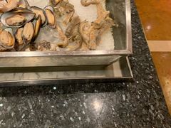 -圣廷苑酒店-世纪楼菲苑自助餐厅