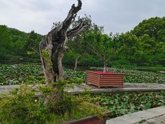 -白马涧龙池景区