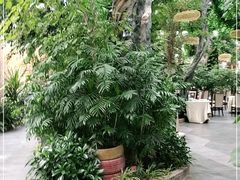 -滕头生态酒店(奉化店)
