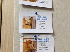 -唐小姐の私宠·宠物洗护美容·撸猫馆·购宠(周浦万达旗舰店)