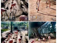 -鄂尔多斯野生动物园