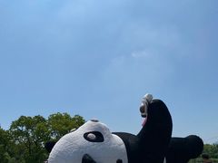 -苏州太湖国家湿地公园