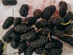 -大米先生(成都青龙街店)