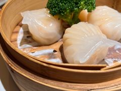 -金桔香港茶餐(宝安大厦店)