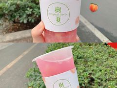 水蜜桃-树夏(建设路店)