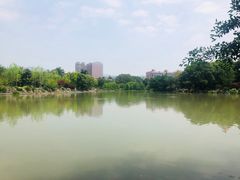 -左海海底世界