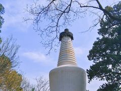 -大觉寺-停车场