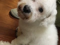 -西贝莜面村