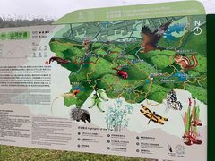 -马峦山郊野公园