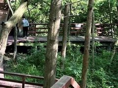 -宁海森林温泉