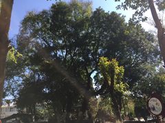 -抚仙湖禄充风景区