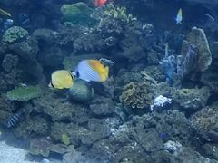 -常州海昌海洋探索馆