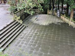 -都江堰普照寺