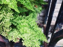 -我的意大利厨房