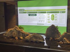 -三谷里·生态水疗空间(五一店)