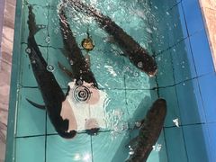 -莆鑫海鲜城(浏河店)