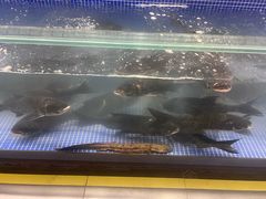-金稼园·金平湖农家菜