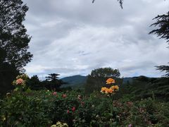 -国家植物园南园