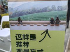 -白茶原·一片叶子