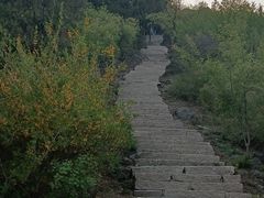 -北京西山国家森林公园