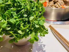 -浩爷羊蝎子火锅(望京店)