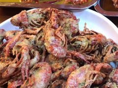 -杨氏青龙虾·羊蝎子(托乐嘉店)