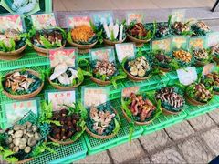 -佳缘野生菌食府