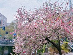 -南通濠河风景名胜区