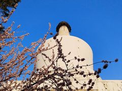 -北海公园