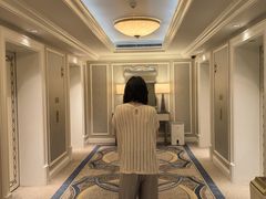 -澳门威尼斯人综合度假区