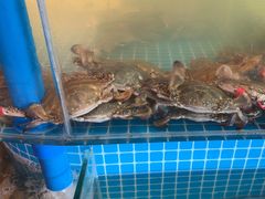 -蓝珊甄选海鲜自助·火锅大排档(近阿那亚店)