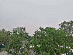 -仙湖旅游度假区