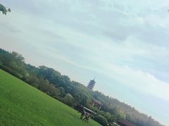 -宜兴龙背山森林公园