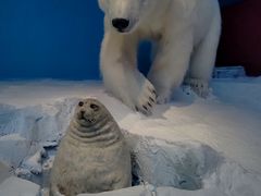 -贝林大翅鲸简餐厅(国家海洋博物馆店)