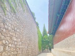 -龙口南山旅游景区