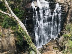 -海南热带雨林国家公园吊罗山景区
