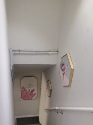 -莲芸拔罐减肥