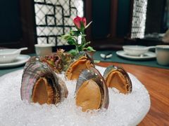 手工冰镇鲍鱼-木棉·醉心粤味(COCO Park店)
