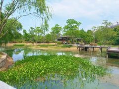 -尚贤河湿地