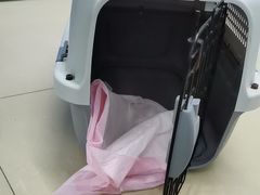 -瑞派动物医院·猫专科·至诚(江南中分院)