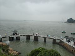 -八婆婆烧仙草(中山路店)